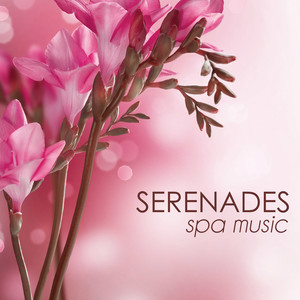 Serenades Spa Music: Relaxation Music Best of Spa Background Songs Relaxation Meditation