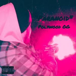 Paranoid (ChopNotSlop Remix) [Explicit]