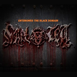 Enthroned the Black Domain (Explicit)