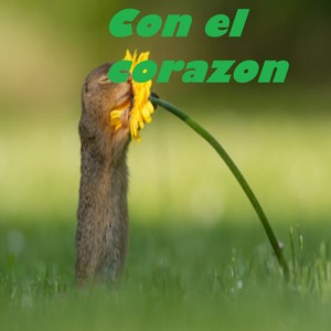 Con el Corazón