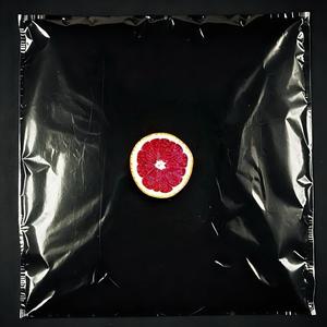 Lyrical Pornography (feat. Ultra Shield) (Ultra Shield Remix|Explicit)