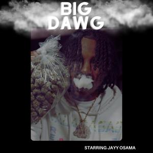 Big Dawg (Explicit)