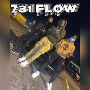 731 Flow (Explicit)