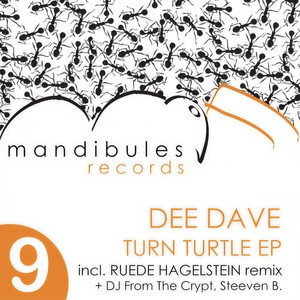 TURN TURTLE (RUEDE HAGELSTEIN Remix)