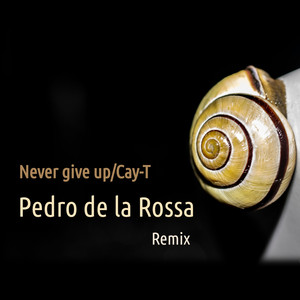 Never Give Up (Remix)