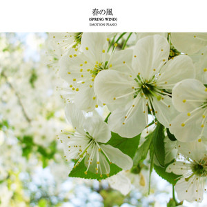 春の風 (Spring Wind) (Spring Wind)