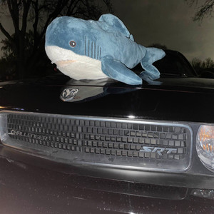 SeXXXy Gura (Explicit)