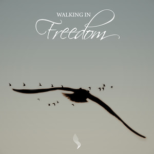 Walking in Freedom (Live)