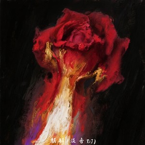 麒麟 (混音dj)封面