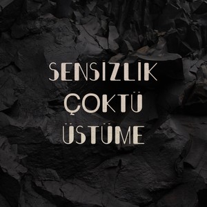 Sensizlik Çöktü Üstüme