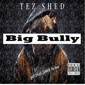 Big Bully (feat. OT Genesis & Rod Marley) (Explicit)