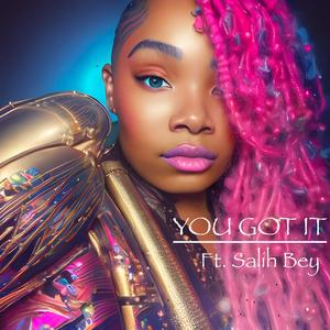 YOU GOT IT (feat. Salih Bey) [Explicit]