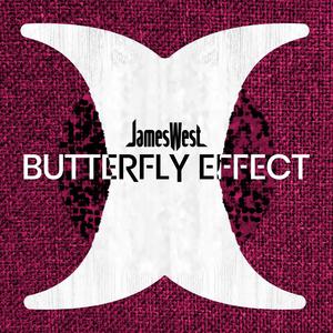 Butterfly Effect