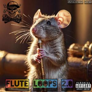 Flute Loops 2.0 (EugeneMade Remix|Explicit)