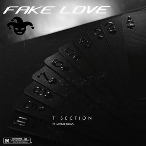 Fake Love (feat. Monir Baws) (Explicit)
