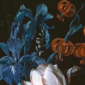 毒龙葵 (Deadly nightshade)