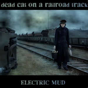 Dead Cat On a Railroad Track