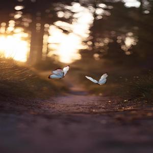 Acceptance? (Outro) (Explicit)