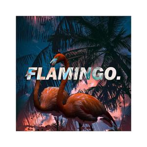 FLAMINGO.