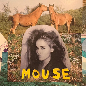 Mouse (Explicit)