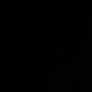 LeBron & Luka (Explicit)