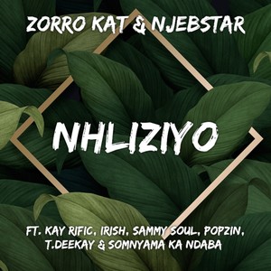 Nhliziyo