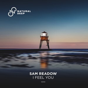 I Feel You (Extended Mix)