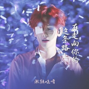 在走向你的路上