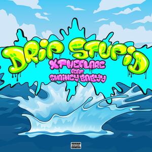 Drip stupid (feat. shaineybabyy) [Explicit]