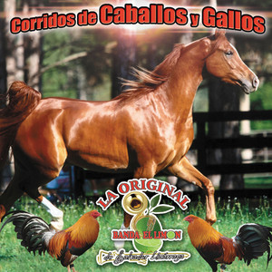 Corridos de Caballos y Gallos