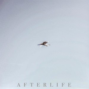 Afterlife