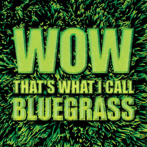 Wow That's What I Call Bluegrass