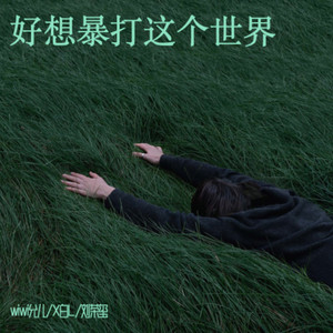 好想暴打这个世界