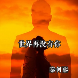世界再也没有你