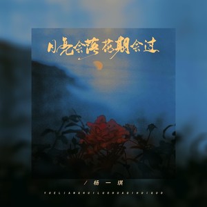 月亮会落花期会过