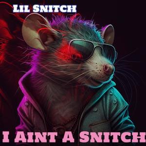 I Aint A Snitch