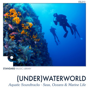 (Under)Waterworld