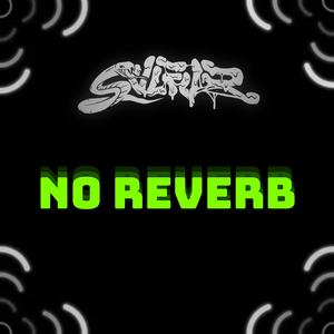 NO REVERB
