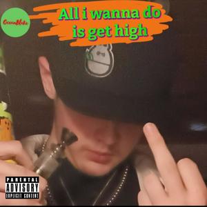 All I Wanna Do Is Get High (Explicit)