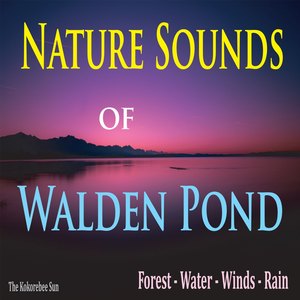 Nature Sounds of Walden Pond (Forest, Water, Winds, and Rain)