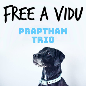 Free A Vidu