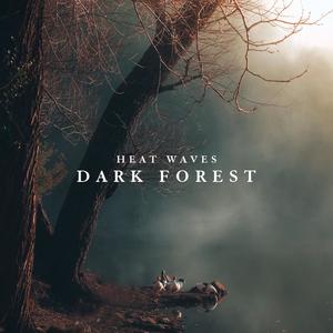 Dark Forest