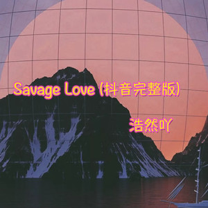 Lovefool (Remix)