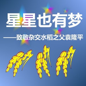 星星也有梦