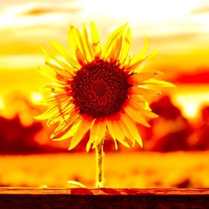 君の瞳には僕はどう映るの