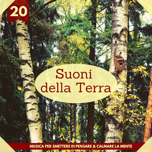 20 Suoni della Terra - Musica per Smettere di Pensare & Calmare La Mente