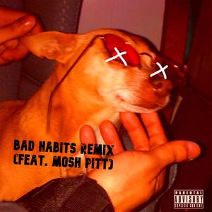 Bad Habits Remix (feat. MOSH PITT) [Explicit]