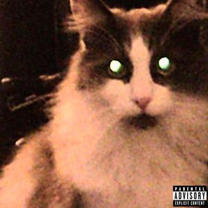 Told You So (Explicit)