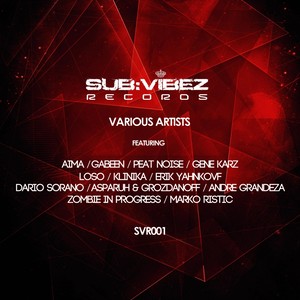 Subvibez Records Various Artists # 1