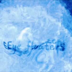 Eye floaters